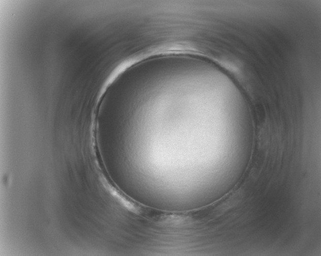 X0000081491374200701191847