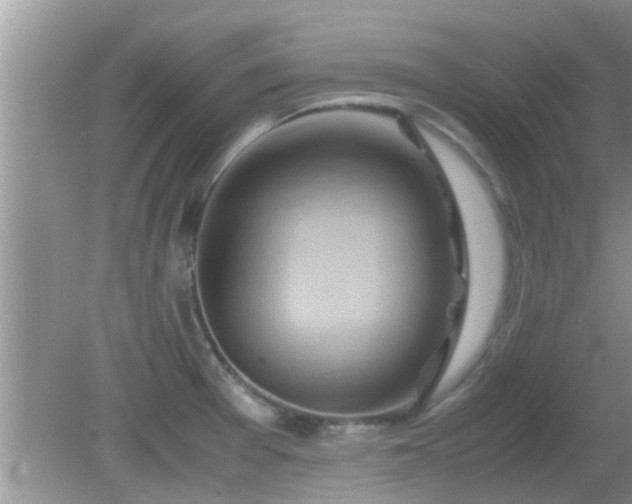 X0000081491377200701191847