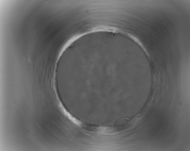 X0000081491379200701191847