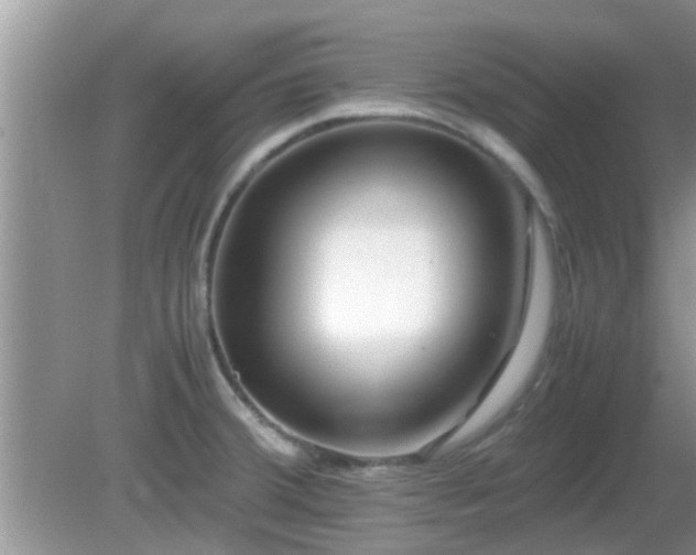 X0000081491380200701191847