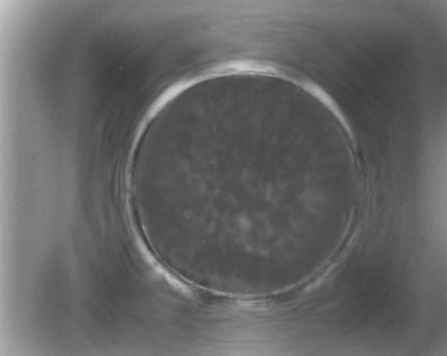 X0000081491381200701191847