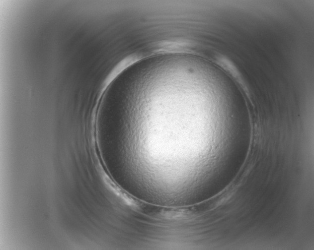 X0000081491386200701191847