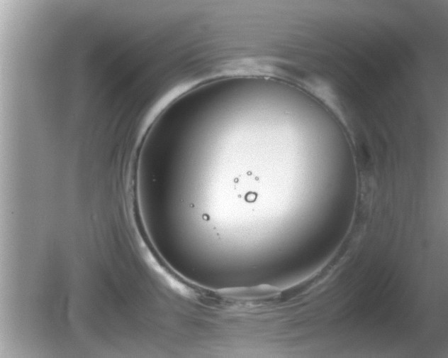 X0000081491387200701191847