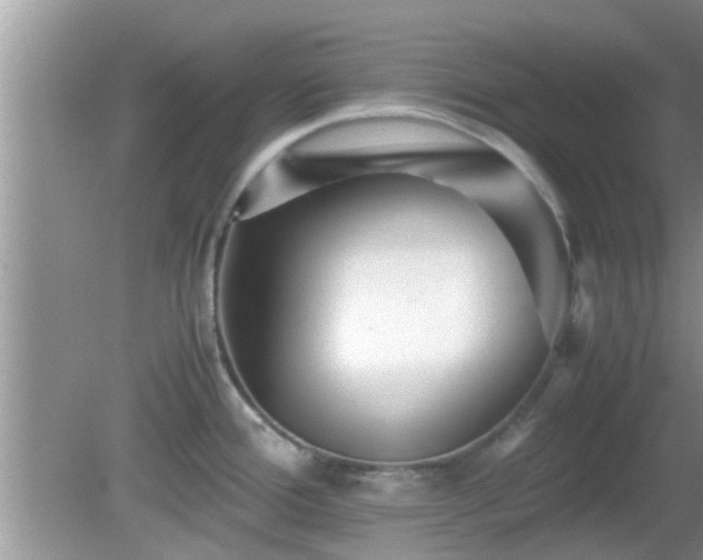 X0000081491388200701191847