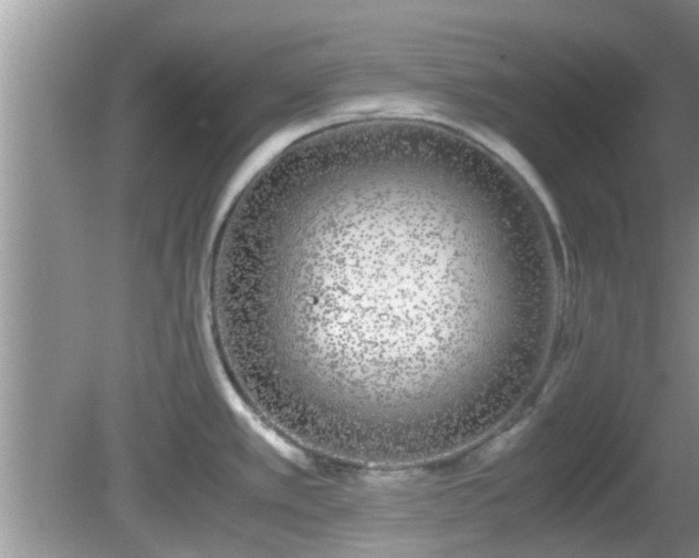 X0000081491389200701191847