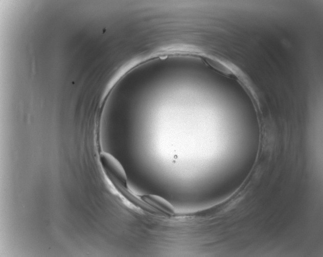 X0000081491390200701191847