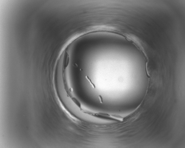 X0000081491391200701191847