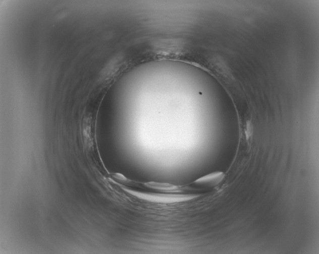 X0000081491396200701191846