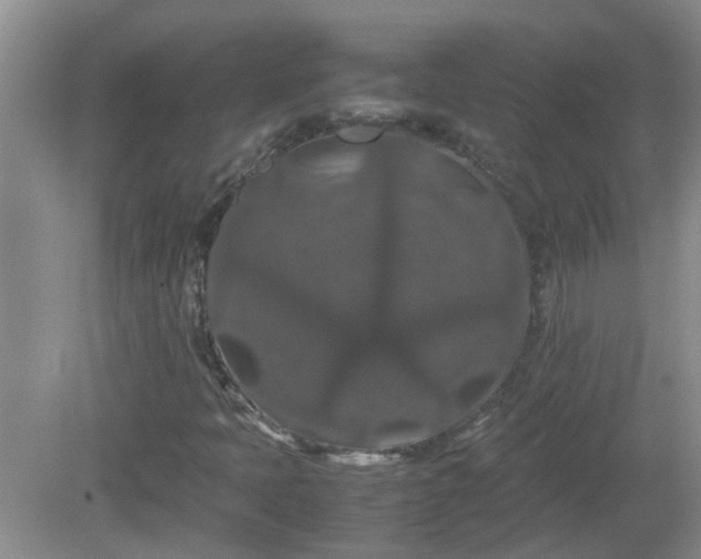 X0000081491397200701191846