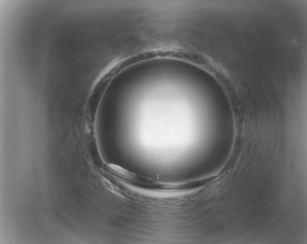 X0000081491400200701191846