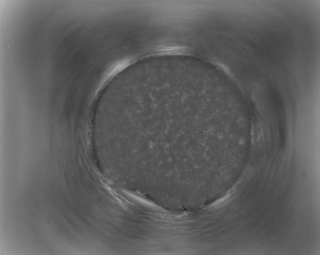 X0000081491405200701191846