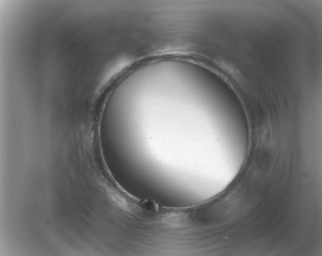 X0000081491406200701191846