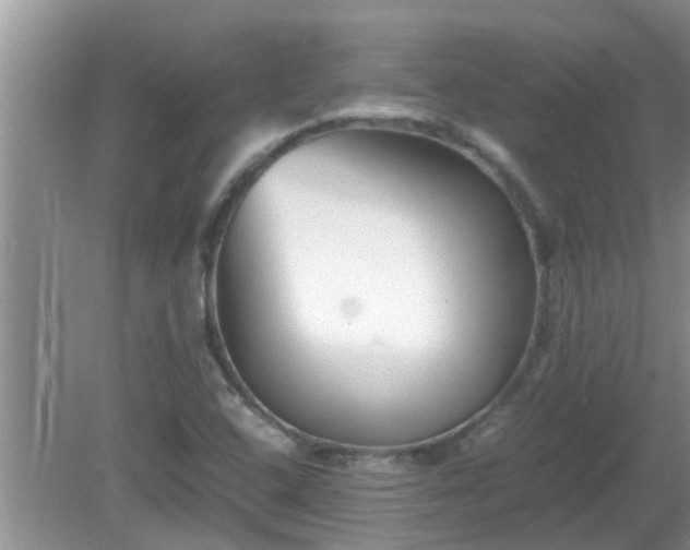 X0000081491408200701191846