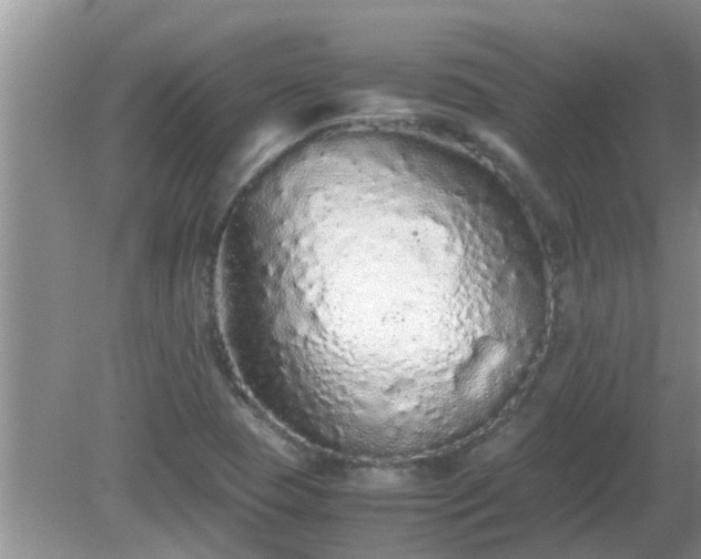 X0000081491409200701191846