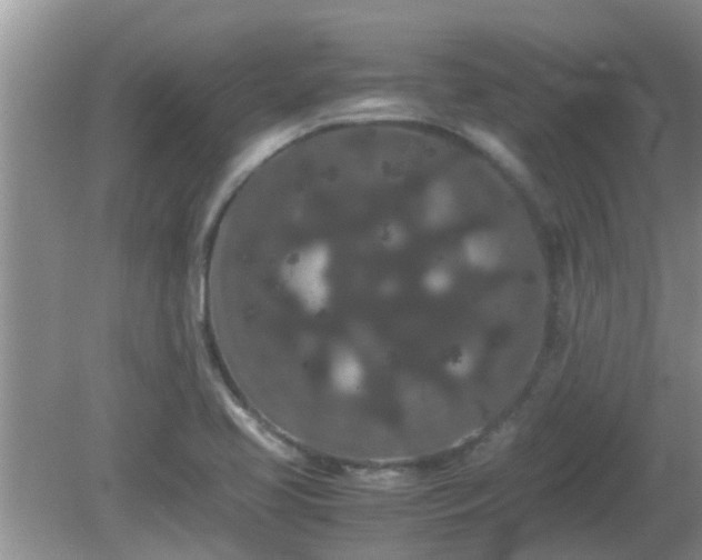 X0000081491413200701191846