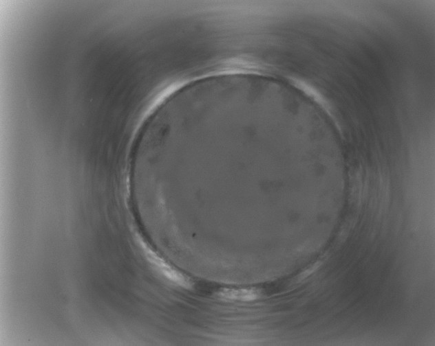 X0000081491415200701191846