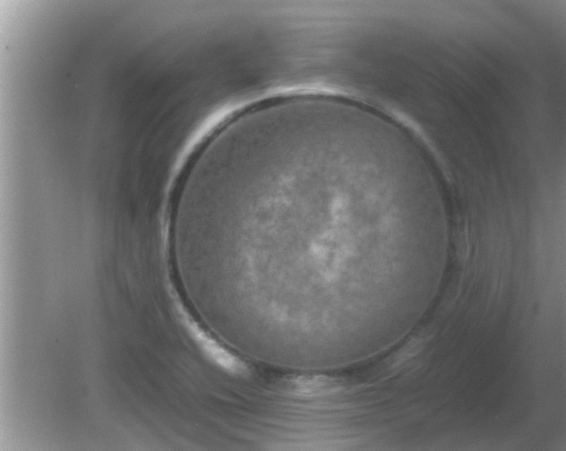 X0000081491416200701191846