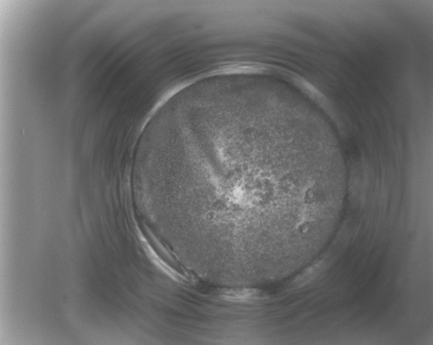 X0000081491417200701191846