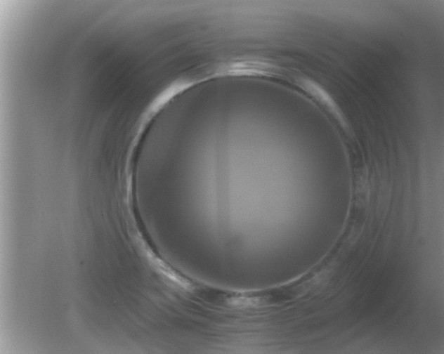 X0000081491419200701191846