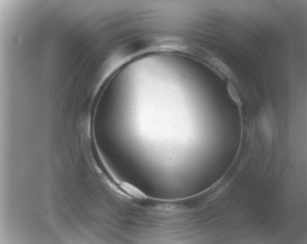 X0000081491420200701191846