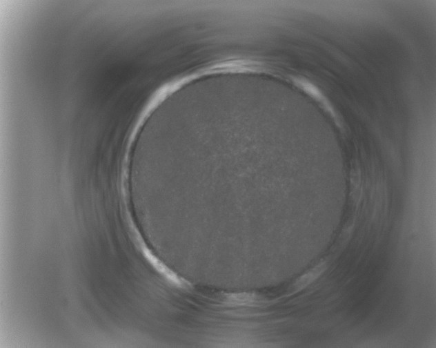 X0000081491421200701191846