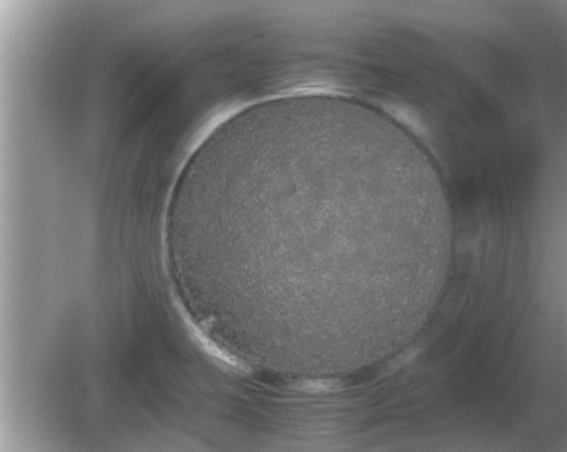 X0000081491423200701191847