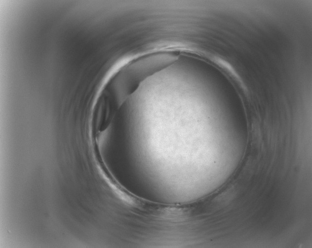 X0000081491424200701191847