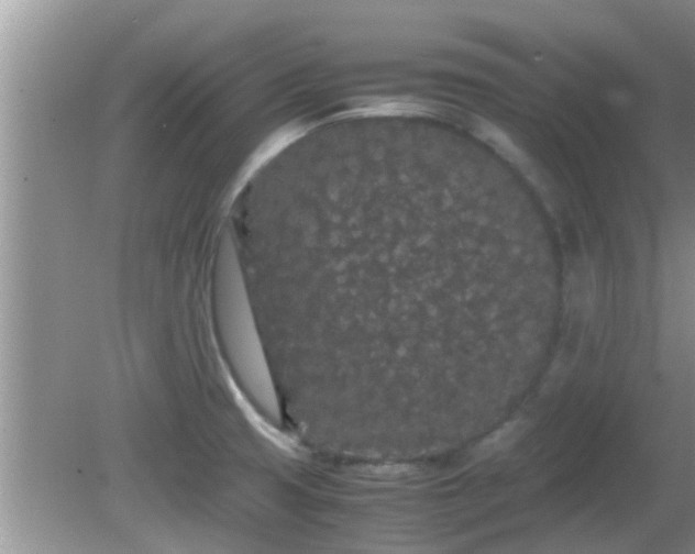 X0000081491425200701191847