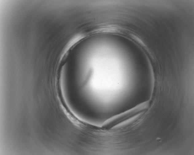 X0000081491426200701191847