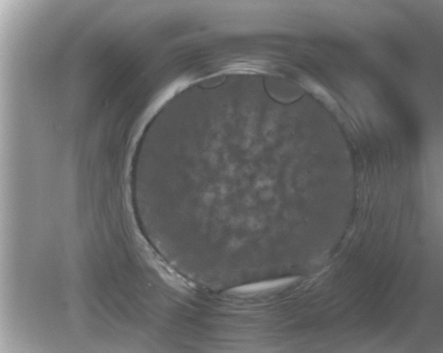 X0000081491427200701191847