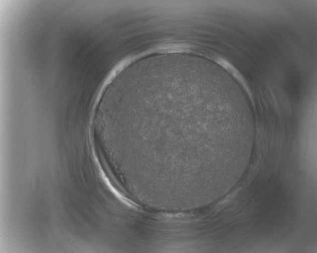 X0000081491429200701191847