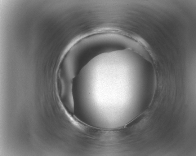 X0000081491430200701191847