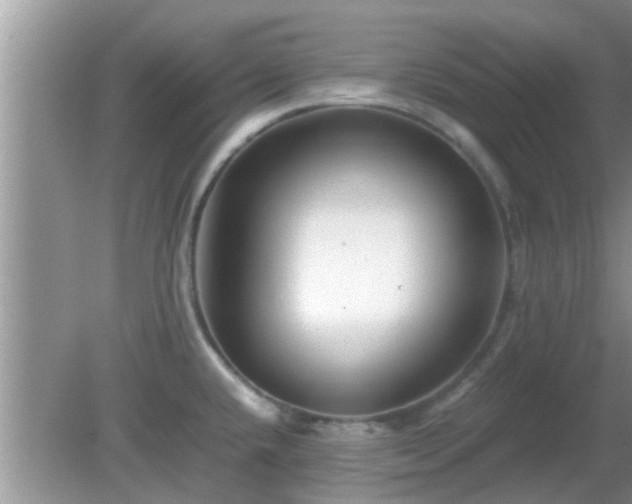 X0000081491432200701191847