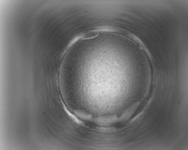 X0000081491433200701191847