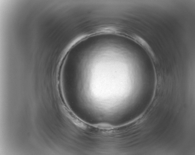 X0000081491435200701191847