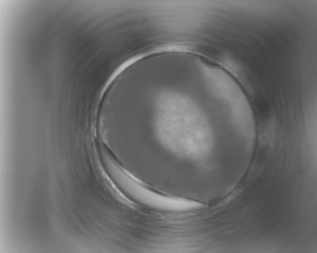 X0000081491436200701191847