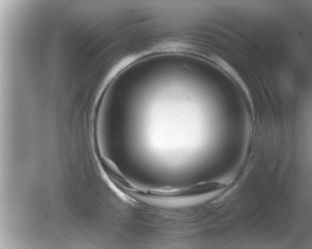 X0000081491437200701191847