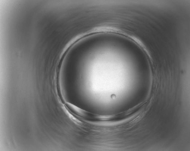 X0000081491438200701191847