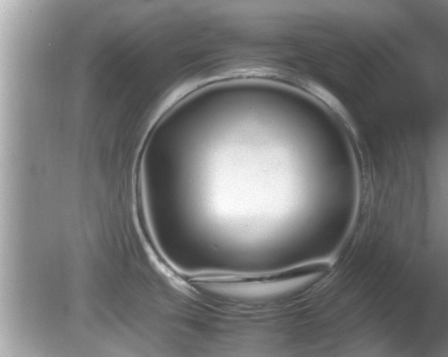 X0000081491439200701191847