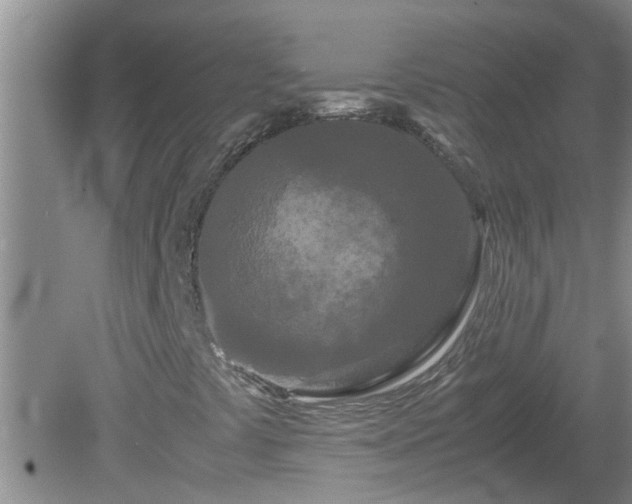 X0000081491441200701191846