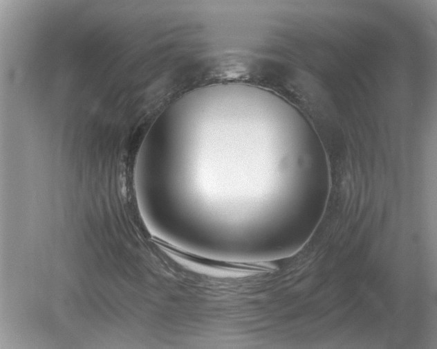 X0000081491442200701191846