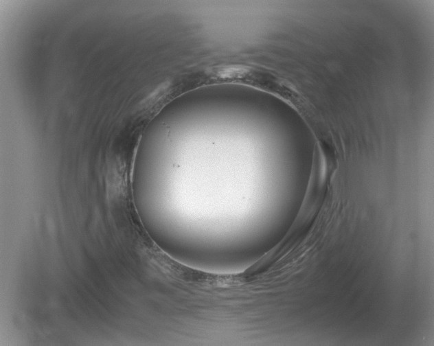 X0000081491443200701191846