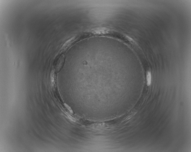 X0000081491444200701191846