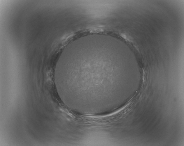 X0000081491445200701191846