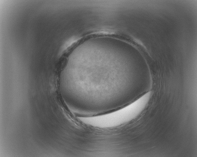 X0000081491448200701191846