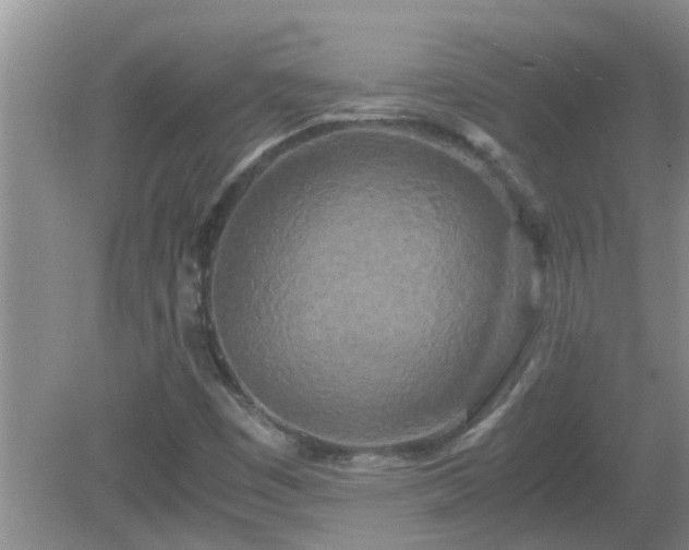 X0000081491449200701191846