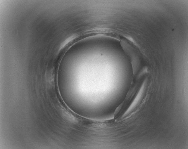 X0000081491450200701191846