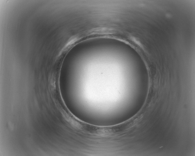 X0000081491451200701191846