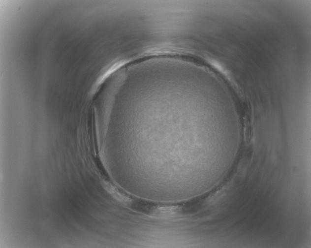 X0000081491453200701191846