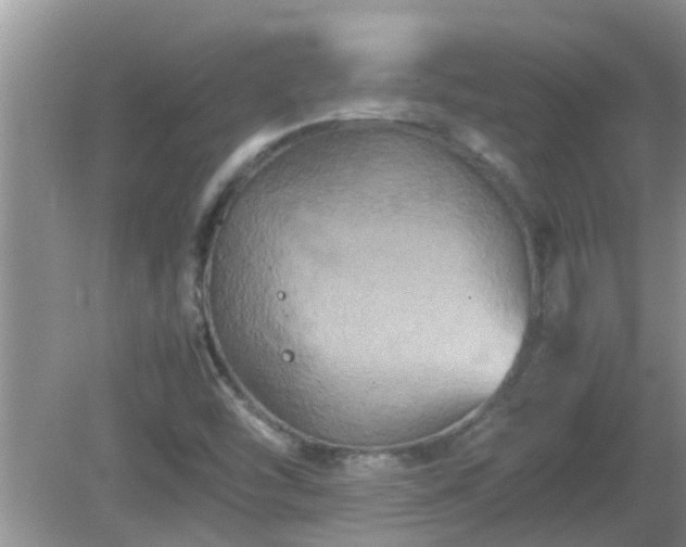 X0000081491454200701191846